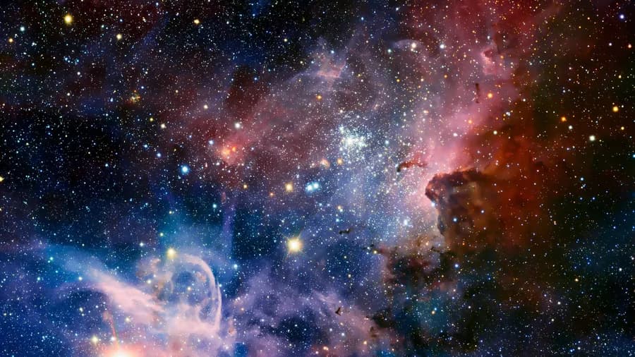 Next.js Portfolio website's about page background image